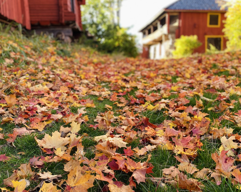 Majoitu syysmarkkinoilla Kristiinankaupungissa