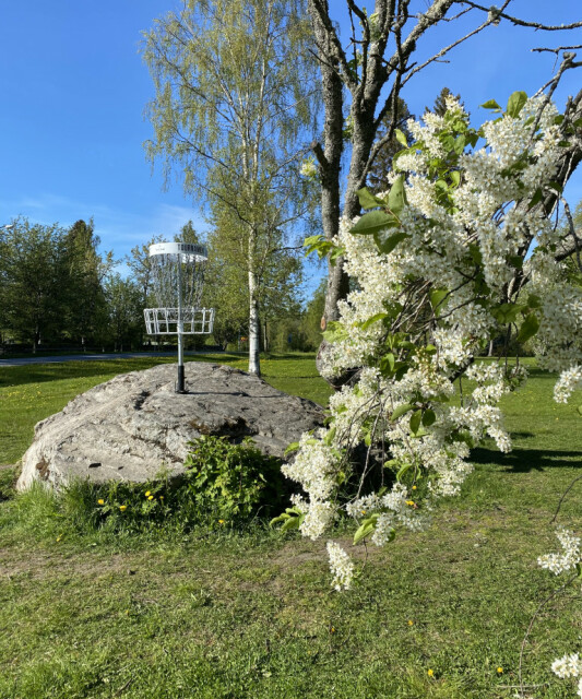 Discgolf 1